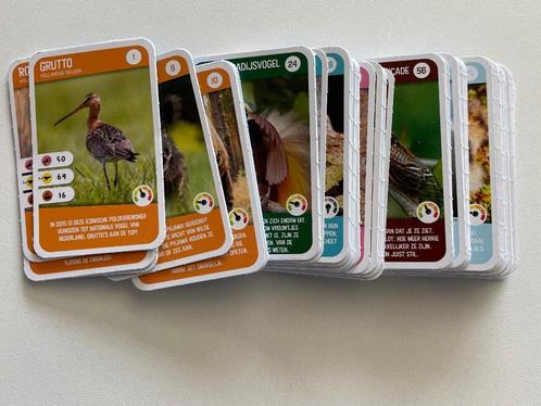 AH Dierenplaatjes Freek Vonk – Complete Set (96 stuks), Verzamelen, Supermarktacties, Albert Heijn, Ophalen of Verzenden