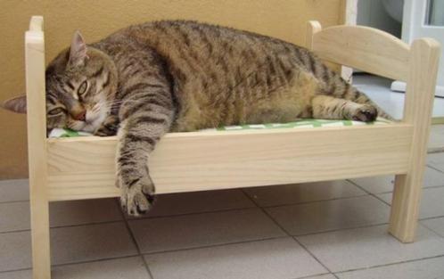 Onze bedden zijn niet voor de poes!, Kinderen en Baby's, Kinderkamer | Bedden, Nieuw, Minder dan 140 cm, Minder dan 70 cm, Lattenbodem