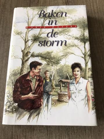 Karin Peters - Baken in de storm. beschikbaar voor biedingen
