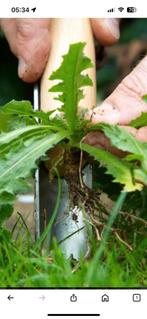 Onkruid weg ermee, Ophalen of Verzenden