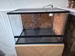 Terrarium 60x40 met achterwand, Dieren en Toebehoren, Ophalen