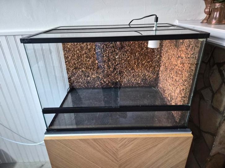 Terrarium 60x40 met achterwand, Dieren en Toebehoren, Reptielen en Amfibieën | Toebehoren, Ophalen