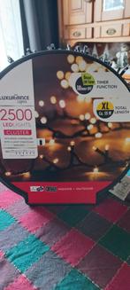 Nieuwe kerst verlichting 55 meter in doos 30 euro, Diversen, Kerst, Ophalen, Nieuw