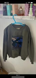 3 truien z8, Kinderen en Baby's, Kinderkleding | Maat 128, Ophalen of Verzenden, Zo goed als nieuw, Jongen, Z8