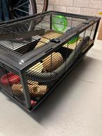 Super complete hamsterkooi, Dieren en Toebehoren, Kooi, Minder dan 75 cm, Zo goed als nieuw, Ophalen