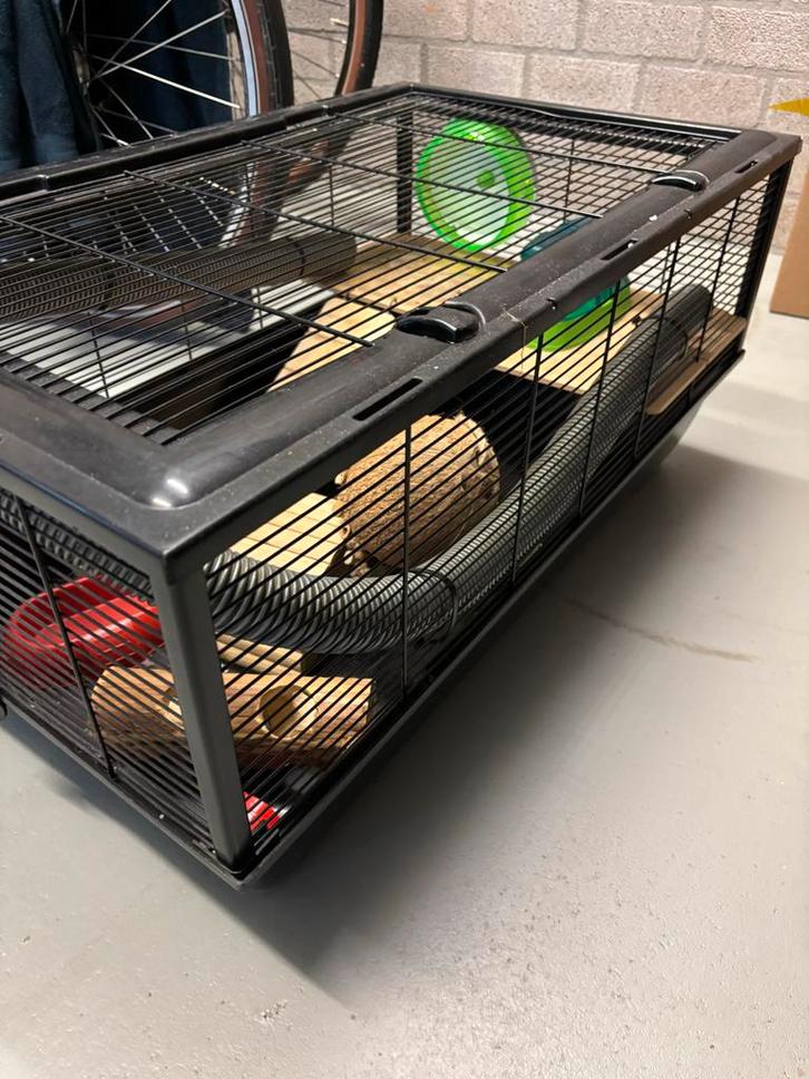 Super complete hamsterkooi, Dieren en Toebehoren, Knaagdieren en Konijnen | Hokken en Kooien, Zo goed als nieuw, Kooi, Minder dan 60 cm