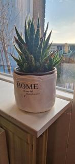 Witte bloempot, Tuin en Terras, Ophalen, Gebruikt, Rond, Binnen