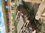 Pallets gratis ophalen, Ophalen