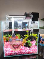 Compleet aquarium nieuwe model SuperFish, Ophalen, Nieuw, Gevuld zoetwateraquarium