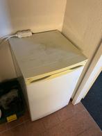 Proline Koelkast - Compact en Functioneel, Witgoed en Apparatuur, Koelkasten en IJskasten, Ophalen, Gebruikt, Minder dan 85 cm
