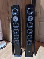 Magnat Needle zuilen en achter speakers zwart, Magnat, Ophalen of Verzenden, Zo goed als nieuw, 120 watt of meer