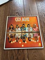Vinyl plaat Cats Aglow, Ophalen of Verzenden, Zo goed als nieuw, 12 inch, Poprock