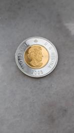 Zilveren vergulden munt canada, Ophalen of Verzenden, Noord-Amerika, Zilver
