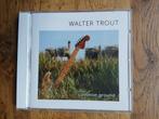 CD Walter Trout : Common Ground, Ophalen, 1980 tot heden, Zo goed als nieuw, Jazz