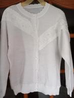 Mooi mohair achtig vest, Ophalen of Verzenden, Zo goed als nieuw, Maat 38/40 (M)