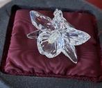 Swarovski Orchidee licht geel, Ophalen of Verzenden, Nieuw, Figuurtje