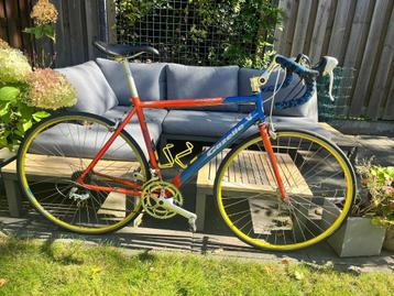 Gazelle dames racefiets – Reynolds 525 – framemaat 50 beschikbaar voor biedingen