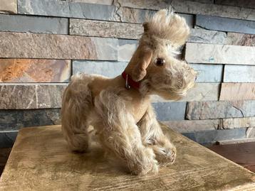 Antiek hondje van Steiff beschikbaar voor biedingen