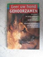 Leer uw hond gehoorzamen, Ophalen of Verzenden, Gelezen, Honden, Wilson Danny