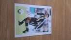 Foto 20x25cm met handtekening; Solano # Newcastle United, Verzenden, Nieuw, Buitenlandse clubs