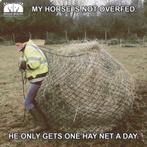 Ervaren stalhulp aangeboden, Ophalen, Overige soorten