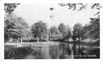 (380-200-029) Soestdijk  Vijver in het bos beschikbaar voor biedingen