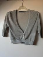 Steps vestje zilverkleur maatje M, Maat 38/40 (M), Ophalen of Verzenden, Zo goed als nieuw, Steps