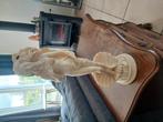 Beeld van aphrodite, Ophalen, Gebruikt, Mens