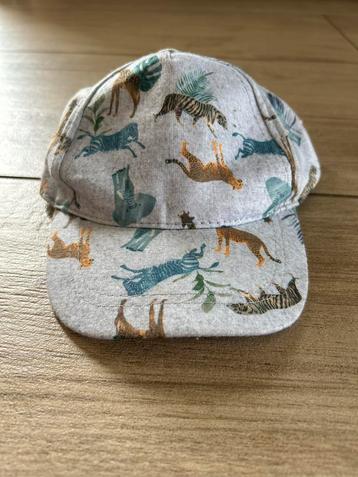 Grijze pet safari dieren 1 tot 2 jaar beschikbaar voor biedingen