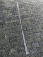 Rooster strippen, Dieren en Toebehoren, Meerdere dieren