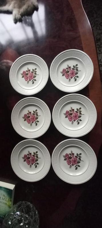Briar Rose Wedgwood Edme beschikbaar voor biedingen