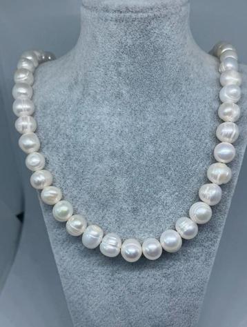 Echte parel ketting met zilver 925 sluiting beschikbaar voor biedingen