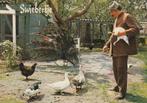 Ansichtkaart, Artiest, Swiebertje  (1277), Verzenden, 1960 tot 1980, Sterren en Beroemdheden