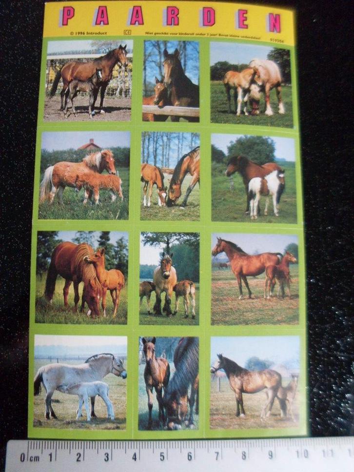 12x sticker paarden paard 1996, Verzamelen, Stickers, Zo goed als nieuw, Dier en Natuur, Verzenden