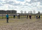 Hulp voor jou en je paard, instructie, coaching, paardrijles, Paardrijles of Ponykampen