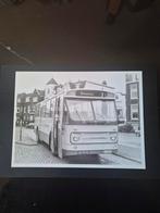 1 foto Salland bus 5542 Zwolle 24x18 cm., Verzamelen, Spoorwegen en Tramwegen, Ophalen of Verzenden, Zo goed als nieuw, Bus of Metro