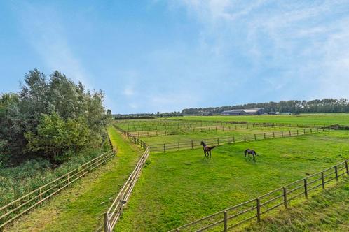 Kleinschalige pensionstalling (hogere prijsklasse), Dieren en Toebehoren, Stalling en Weidegang, Weidegang