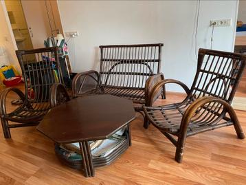 Manou set serre bamboo met tafel beschikbaar voor biedingen