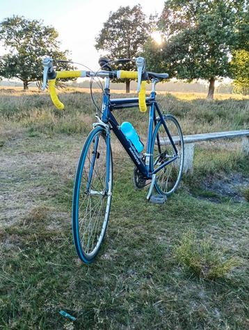 Batavus racefiets  beschikbaar voor biedingen