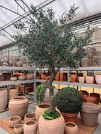 🔥 De Ferrari onder de olijfbomen – Kunst / Zijde 🔥, Huis en Inrichting, Binnen, Nieuw, Ophalen of Verzenden, 123olijfbomen.nl