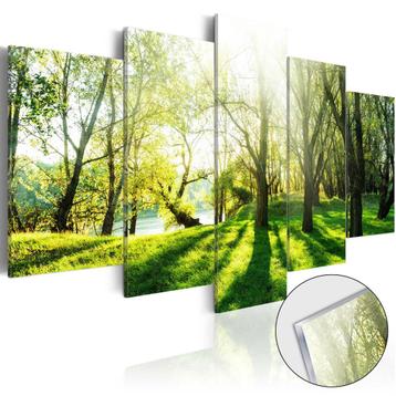 24 Bomen Natuur Acrylglas Schilderij 5 Luik 200x100cm Nieuw beschikbaar voor biedingen
