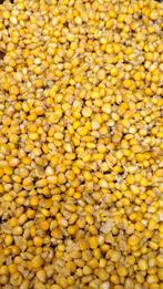 Mais 20 kilo kant en klaar 20 euro!!!, Watersport en Boten, Hengelsport | Karpervissen, Ophalen of Verzenden, Nieuw, Overige typen