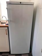 Liebherr diepvries, Gebruikt, 160 cm of meer, Ophalen, Vrieskast