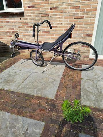 Leuke Rowan ligfiets te koop beschikbaar voor biedingen