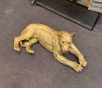 Gouden Leeuw Beeld - Decoratief, Ophalen of Verzenden, Nieuw