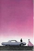 FORD THUNDERBIRD 1961, 1962 &1963, Ophalen of Verzenden, Gelezen, Ford