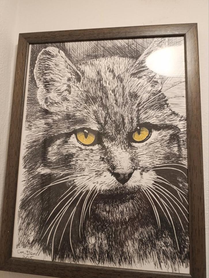 Cor Dam - Originele Tekening Kat, Antiek en Kunst, Kunst | Tekeningen en Foto's, Ophalen of Verzenden