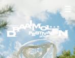 2 Tickets Draaimolen Festival Zaterdag, Ophalen of Verzenden, Zo goed als nieuw, Overige typen