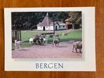 Bergen. Kinderboerderij met herten en geiten., Verzamelen, Ophalen of Verzenden, 1980 tot heden, Gelopen, Noord-Holland