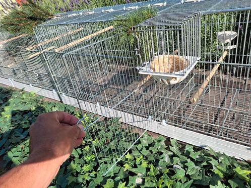 Broedkooien, Dieren en Toebehoren, Vogels | Hokken en Kooien, Broedkooi of Kweekkooi, Hout, Ophalen